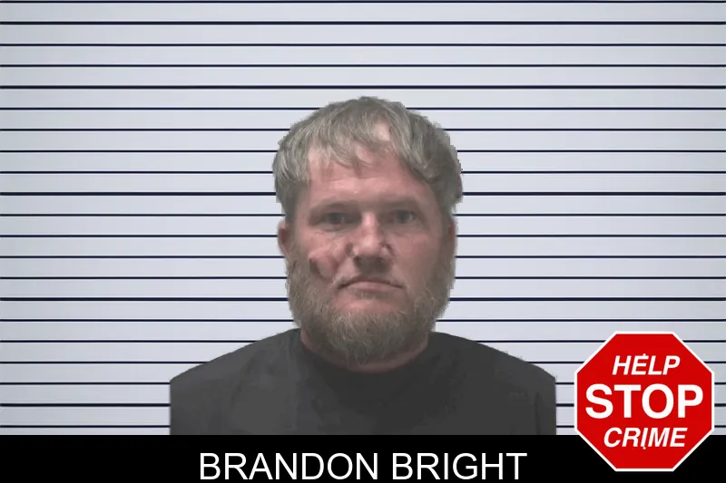 Brandon Bright mugshot – Coweta County , Georgia Brandon Bright mugshot