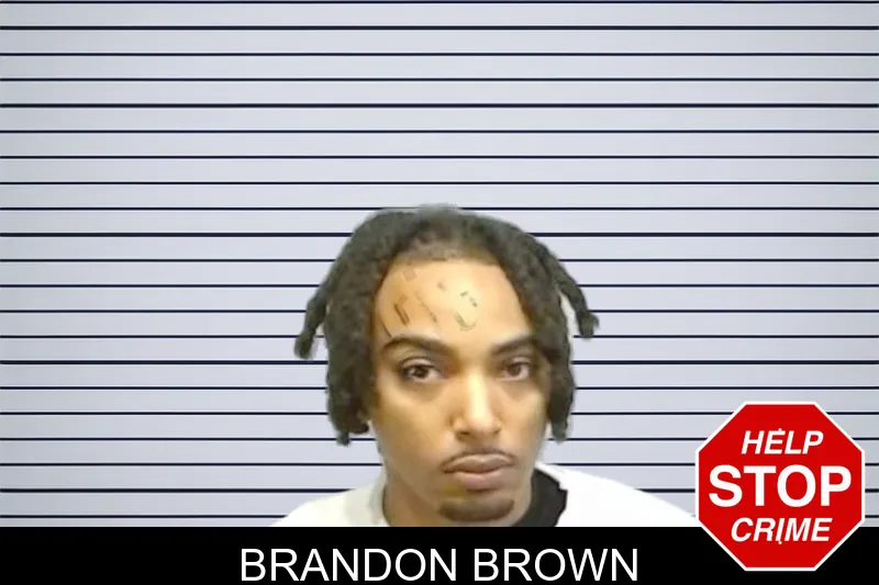 Brandon Brown mugshot