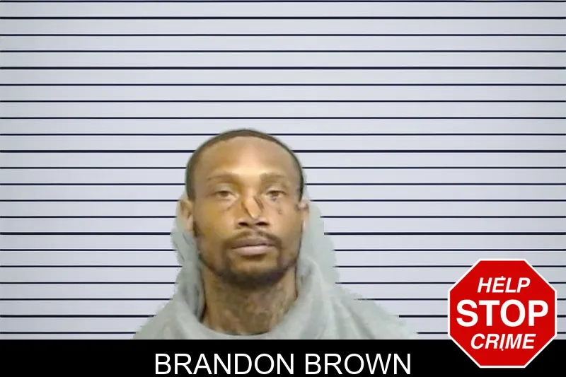Brandon Brown mugshot