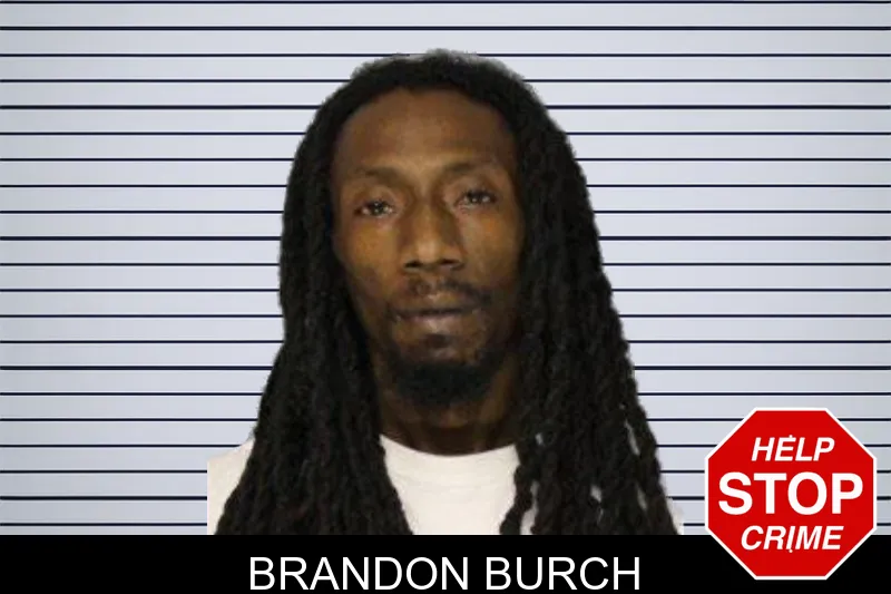 Brandon Burch mugshot – Hall County , Georgia Brandon Burch mugshot