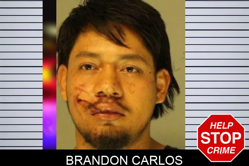 Brandon Carlos mugshot – Hall County , Georgia Brandon Carlos mugshot