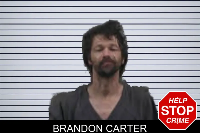 Brandon Carter mugshot – Banks County , Georgia Brandon Carter mugshot