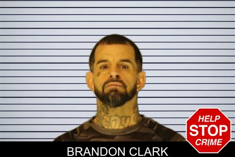Brandon Clark