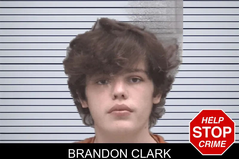 Brandon Clark mugshot