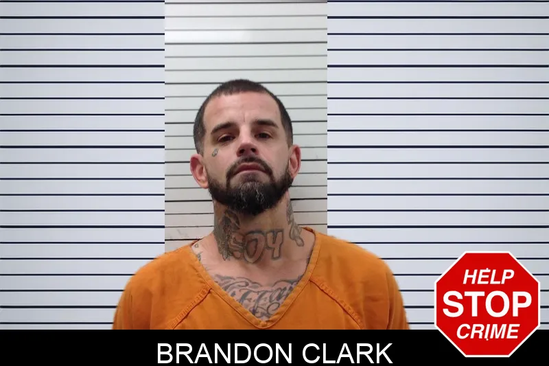 Brandon Clark mugshot – Pickens County , Georgia Brandon Clark mugshot