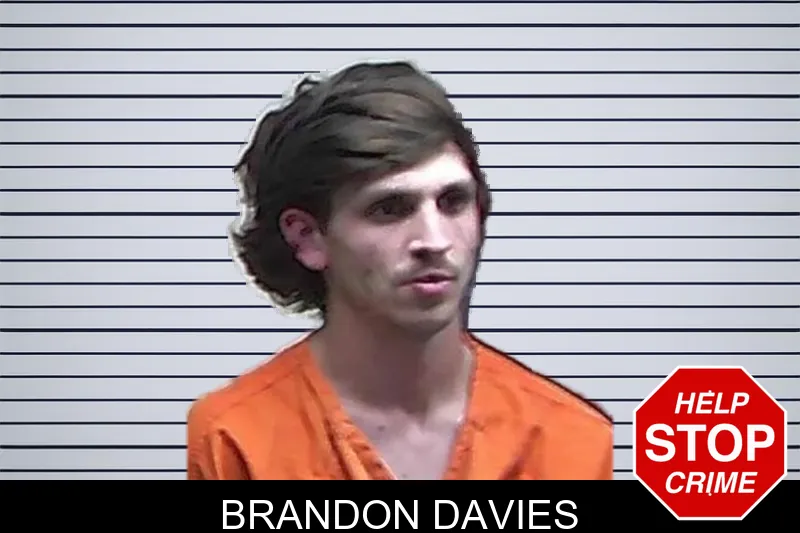 Brandon Davies mugshot – Fannin County , Georgia Brandon Davies mugshot