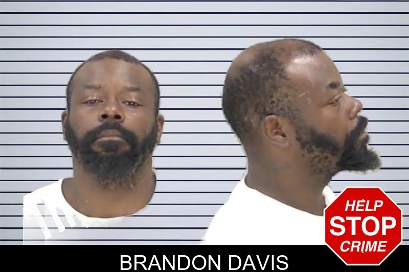 Brandon Davis mugshot