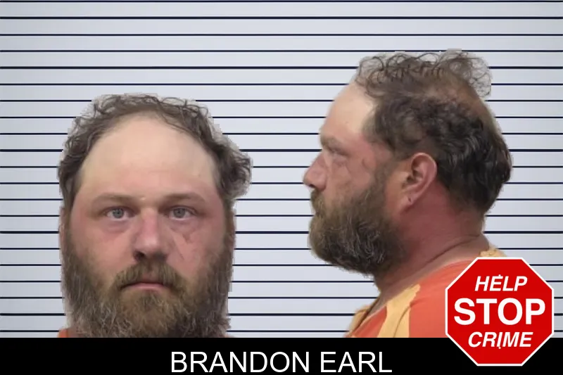 Brandon Earl mugshot – Paulding County , Georgia Brandon Earl mugshot