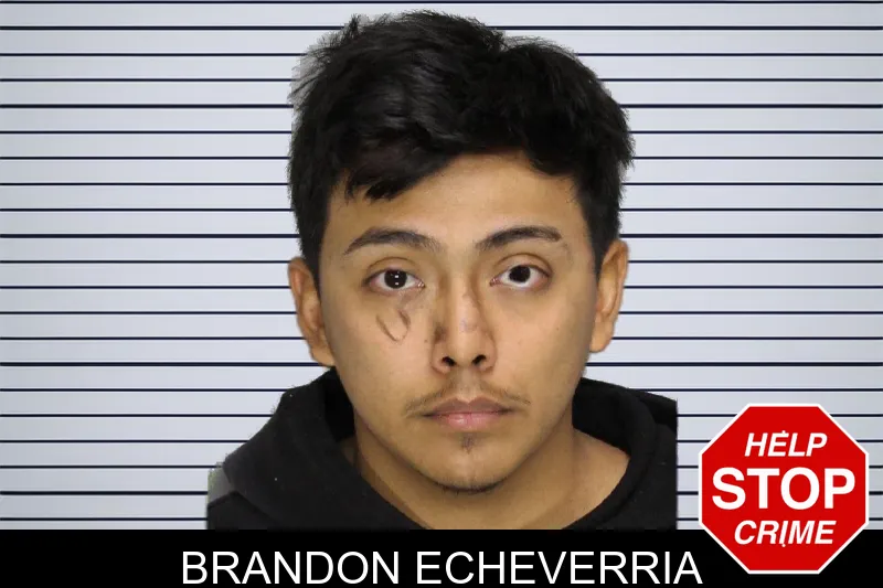 Brandon Echeverria mugshot – Cobb County , Georgia Brandon Echeverria mugshot