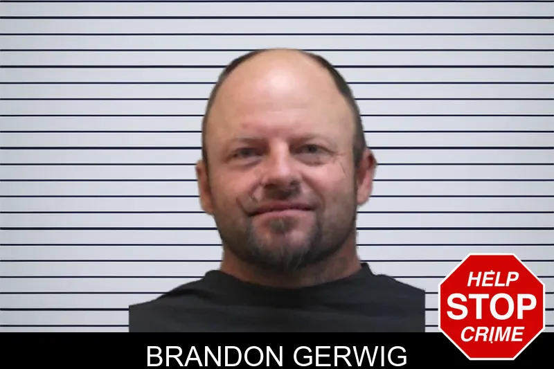 Brandon Gerwig mugshot