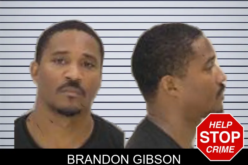 Brandon Gibson mugshot
