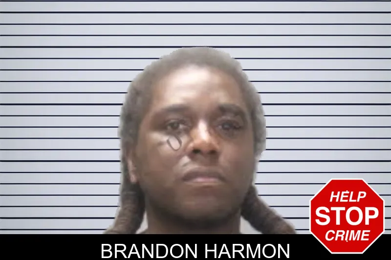 Brandon Harmon mugshot