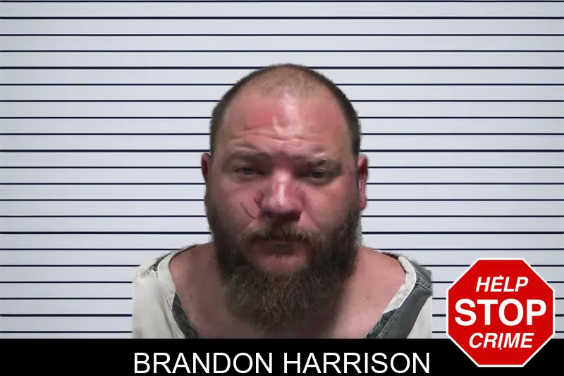 Brandon Harrison mugshot
