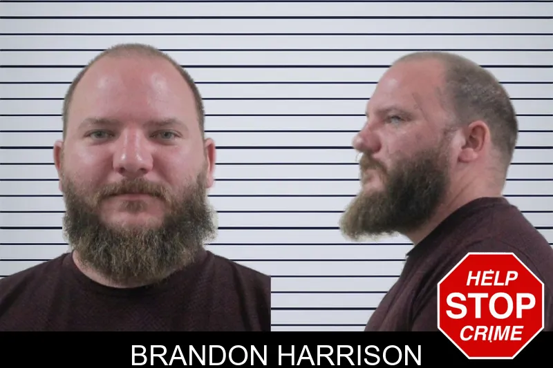 Brandon Harrison mugshot – Houston County , Georgia Brandon Harrison mugshot