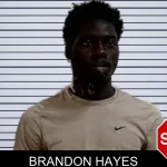 Brandon Hayes mugshot