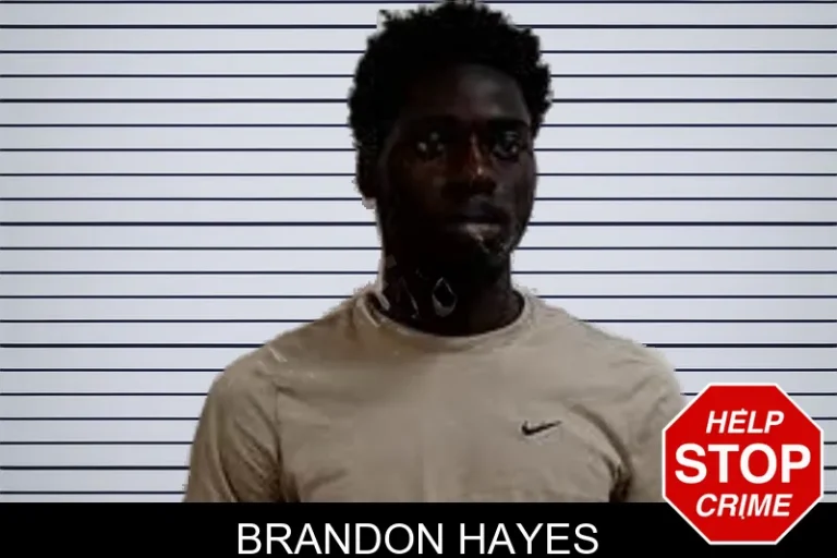 Brandon Hayes mugshot – Decatur County , Georgia Brandon Hayes