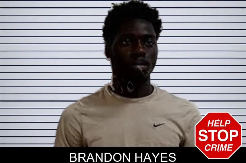 Brandon Hayes mugshot – Decatur County , Georgia Brandon Hayes mugshot