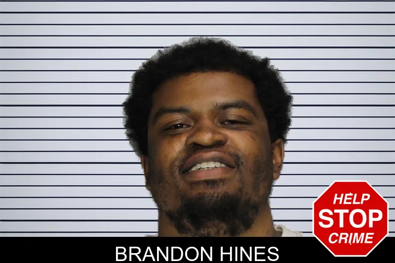 Brandon Hines mugshot