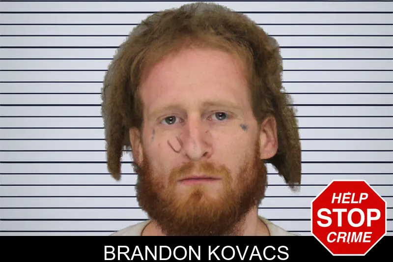 Brandon Kovacs mugshot