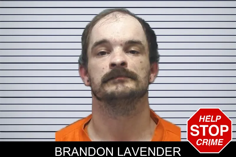 Brandon Lavender mugshot