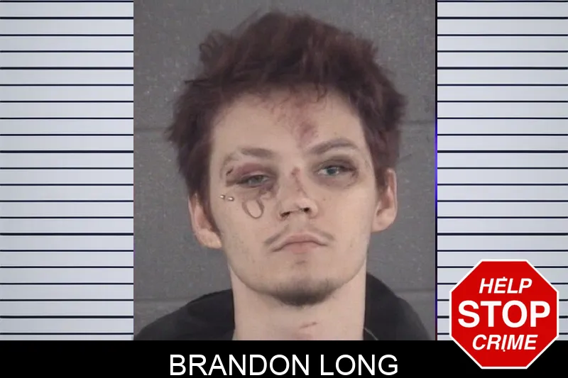 Brandon Long mugshot