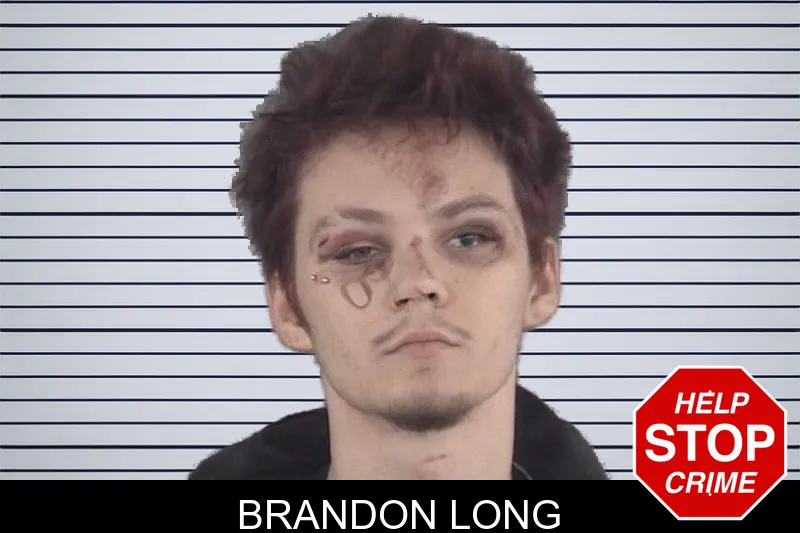 Brandon Long mugshot