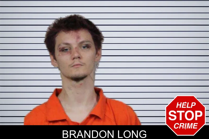 Brandon Long mugshot