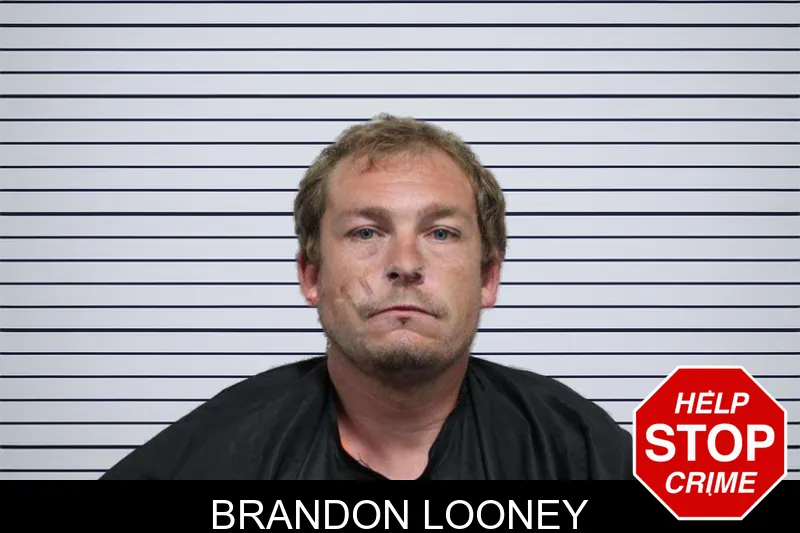 Brandon Looney mugshot – Franklin County , Georgia Brandon Looney mugshot