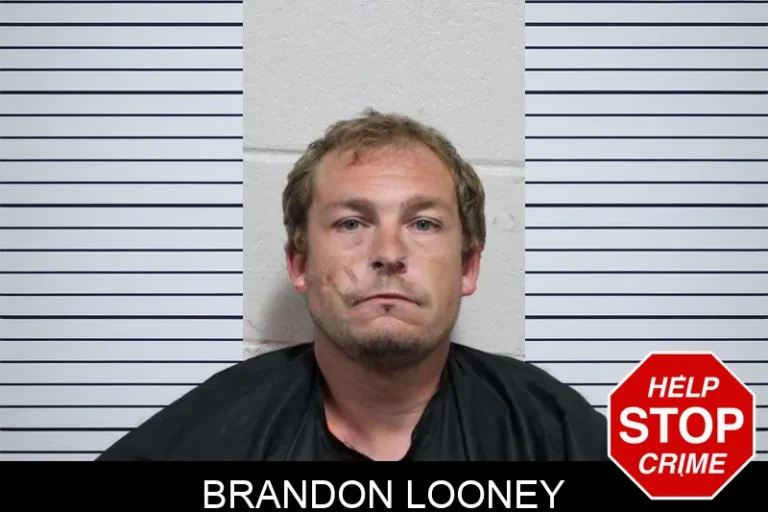 Brandon Looney mugshot – Habersham County , Georgia Brandon Looney
