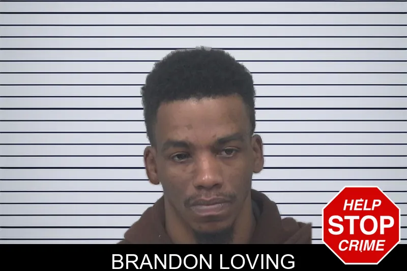 Brandon Loving mugshot