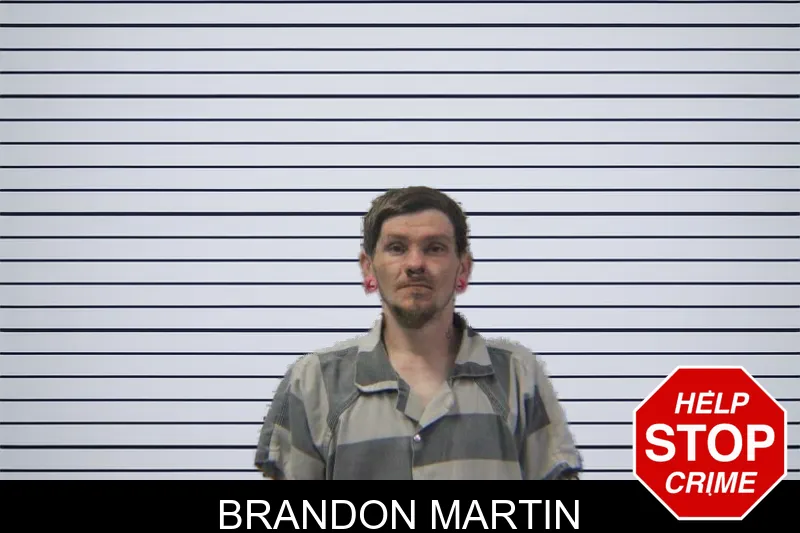Brandon Martin mugshot – Stephens County , Georgia Brandon Martin mugshot