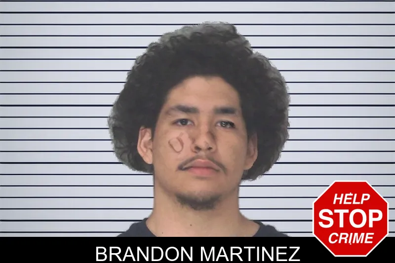 Brandon Martinez mugshot