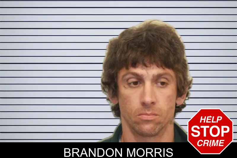 Brandon Morris mugshot – Chatham County , Georgia Brandon Morris mugshot