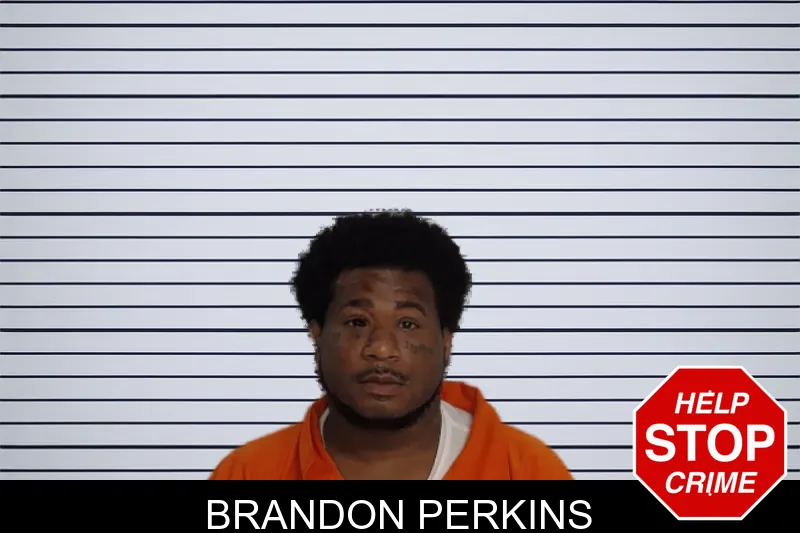 Brandon Perkins mugshot