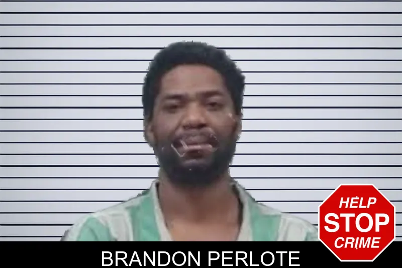 Brandon Perlote mugshot