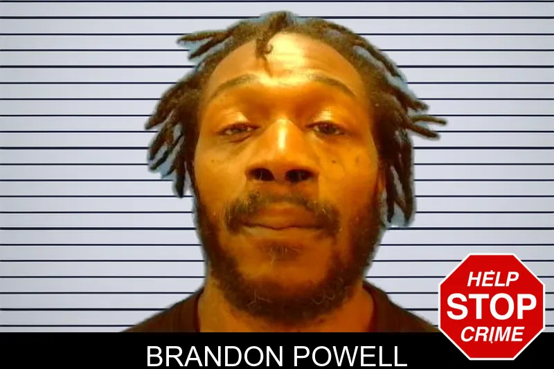Brandon Powell mugshot