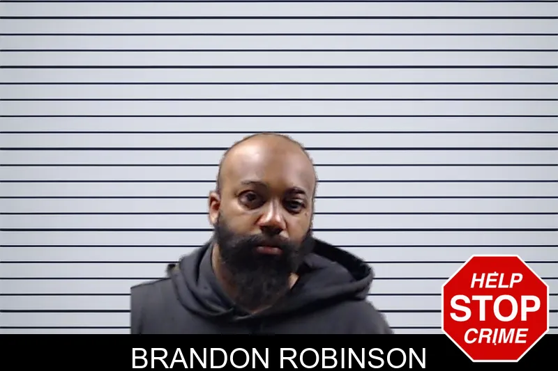 Brandon Robinson mugshot