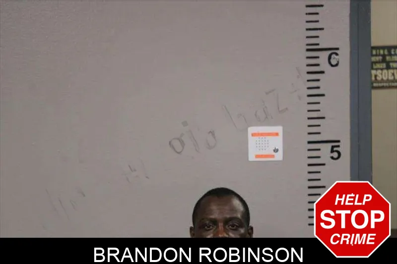 Brandon Robinson mugshot – Lamar County , Georgia Brandon Robinson mugshot