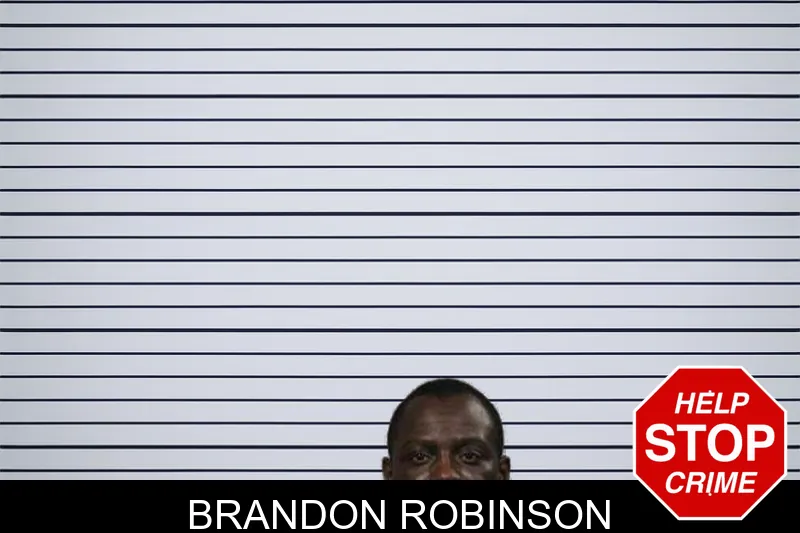 Brandon Robinson mugshot