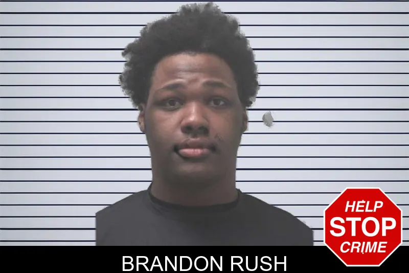 Brandon Rush mugshot – Coweta County , Georgia Brandon Rush mugshot