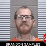 Brandon Samples mugshot