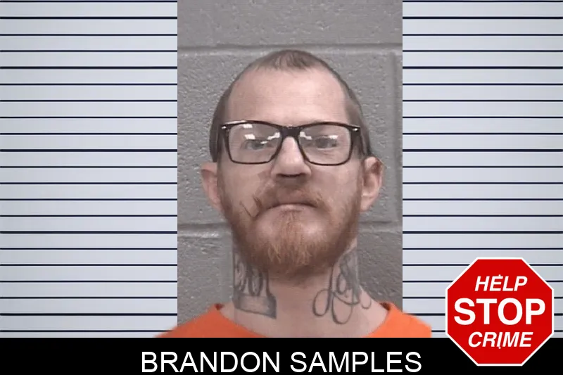 Brandon Samples mugshot