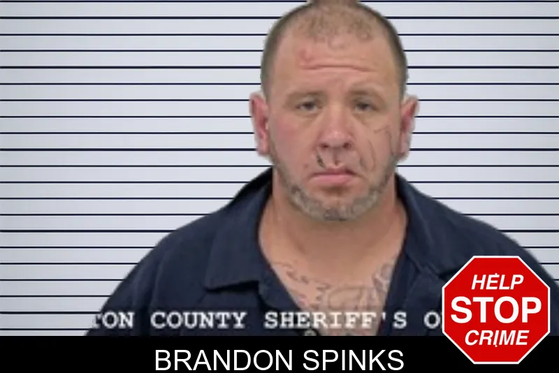 Brandon Spinks mugshot