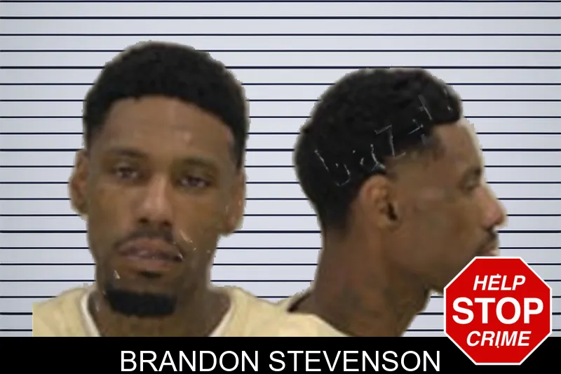 Brandon Stevenson mugshot