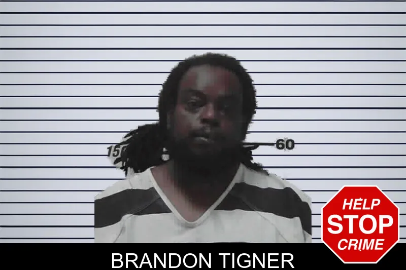 Brandon Tigner mugshot