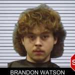 Brandon Watson mugshot