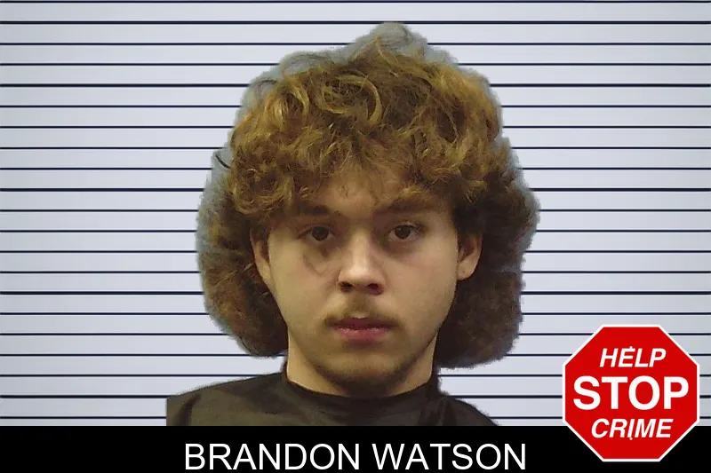 Brandon Watson mugshot