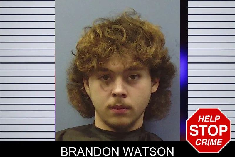 Brandon Watson mugshot