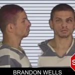 Brandon Wells mugshot