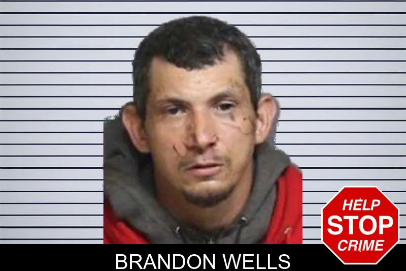Brandon Wells mugshot – Bacon County , Georgia Brandon Wells mugshot